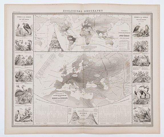 Zoological Geography.. Birds of Europe [and] over the World. Phytology & Zoology No. 6.