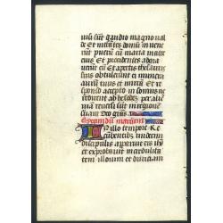 Manuscript leaf on vellum written in a late gothic hand.