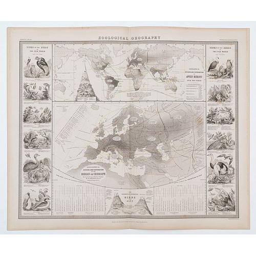 Old map image download for Zoological Geography.. Birds of Europe [and] over the World. Phytology & Zoology No. 6.