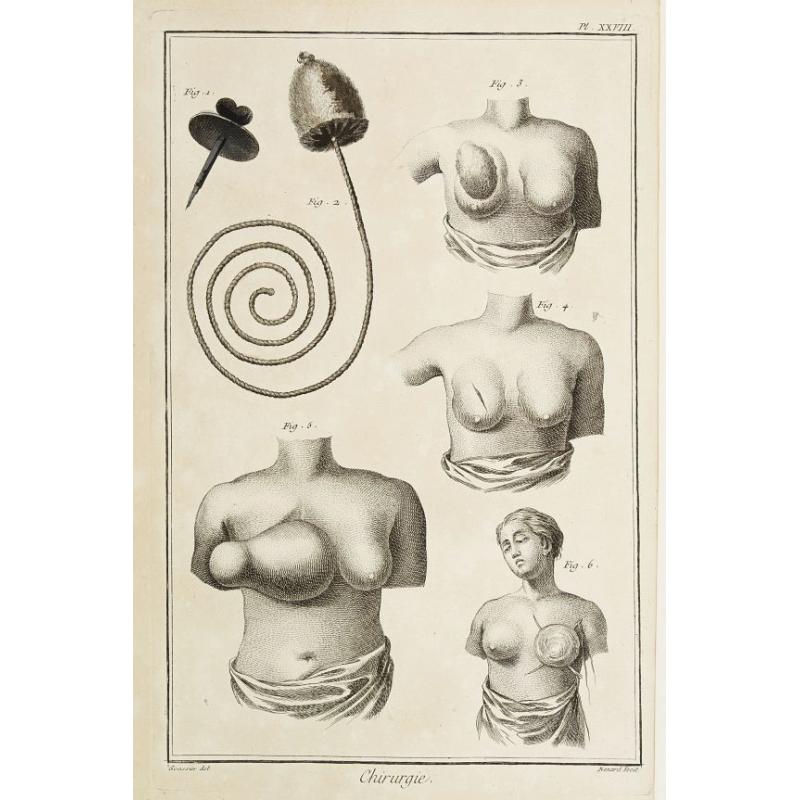 Chirurgie, plate XXVIII.