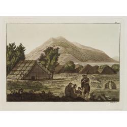 [ View of the Hippah in New Zealand ].