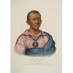 Wat-Che-Mon-Ne, an Ioway Chief.