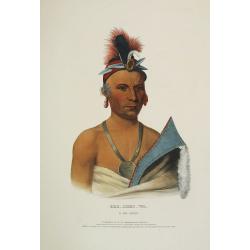 Kee-Shes-Wa, a Fox Chief.