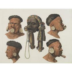 [ Heads of Botocudos Indians with tembeitera ].