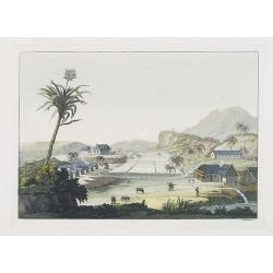 [ A view of a Caribbean sugar plantation ].