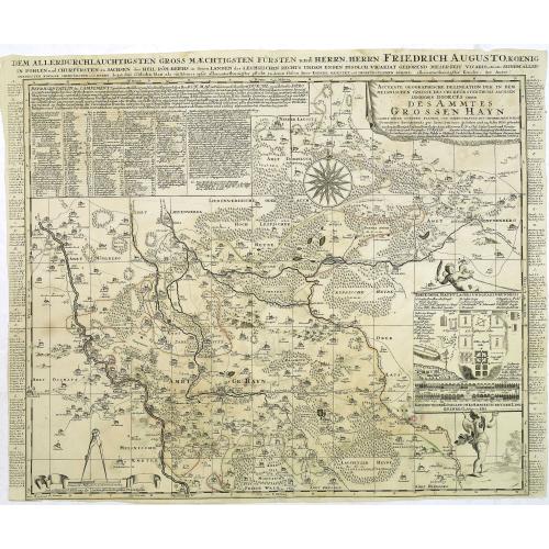 Old map image download for Accurate Geographische delineation. . . Des Ammtes grossen Hayn. . .