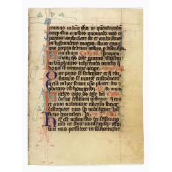 Manuscript leaf from a very early [around 1300] Breviary.