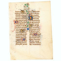 Leave from a Book of Hours on vellum.