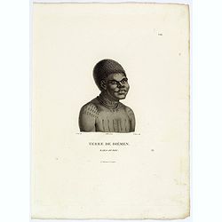 Terre de Diemen. Bara-Ourou. [plate VIII]