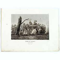 Terre de Diemen. Habitations. [plate XV]