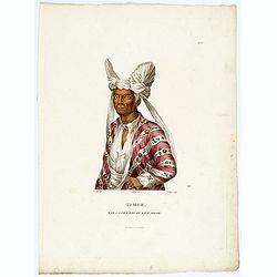 Timor. Naba-Leba, Roi de L'Ile Solor. [plate XXV]