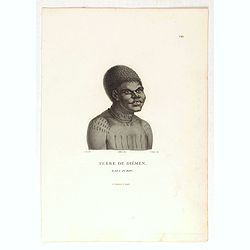 Terre de Diemen. Bara-Ourou. [plate VIII]