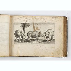 ALBUM with 170 engravings of animals, landscapes, months, figures, ornamentations, etc. from the 17th century.