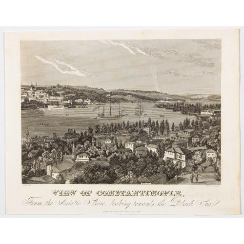 Old map image download for View of Constantinople from the Asiatic Shore, looking towards the Black Sea.