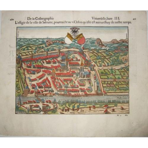 Old map image download for L'effigie de la ville de Saleurre. . . [Solothurn]