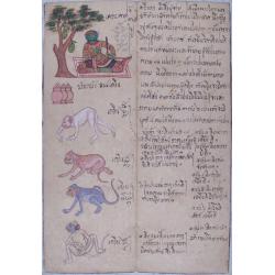 Image download for (Thai manuscript describing the signs of the Zodiac)