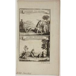 [Lot of 13 prints of the Chinese court] Habillement de l' Empereur dela Chine & des Dames de son Palais aves quel...